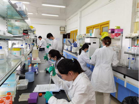 /crm/product/image/20210712/1626076345652042336.png 1626076345652042336.png