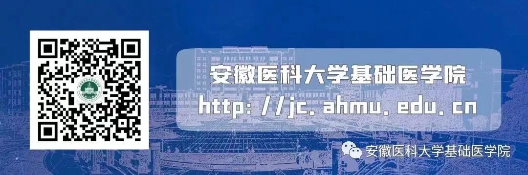 /crm/product/image/20230714/1689328042765095069.jpg 1689328042765095069.jpg