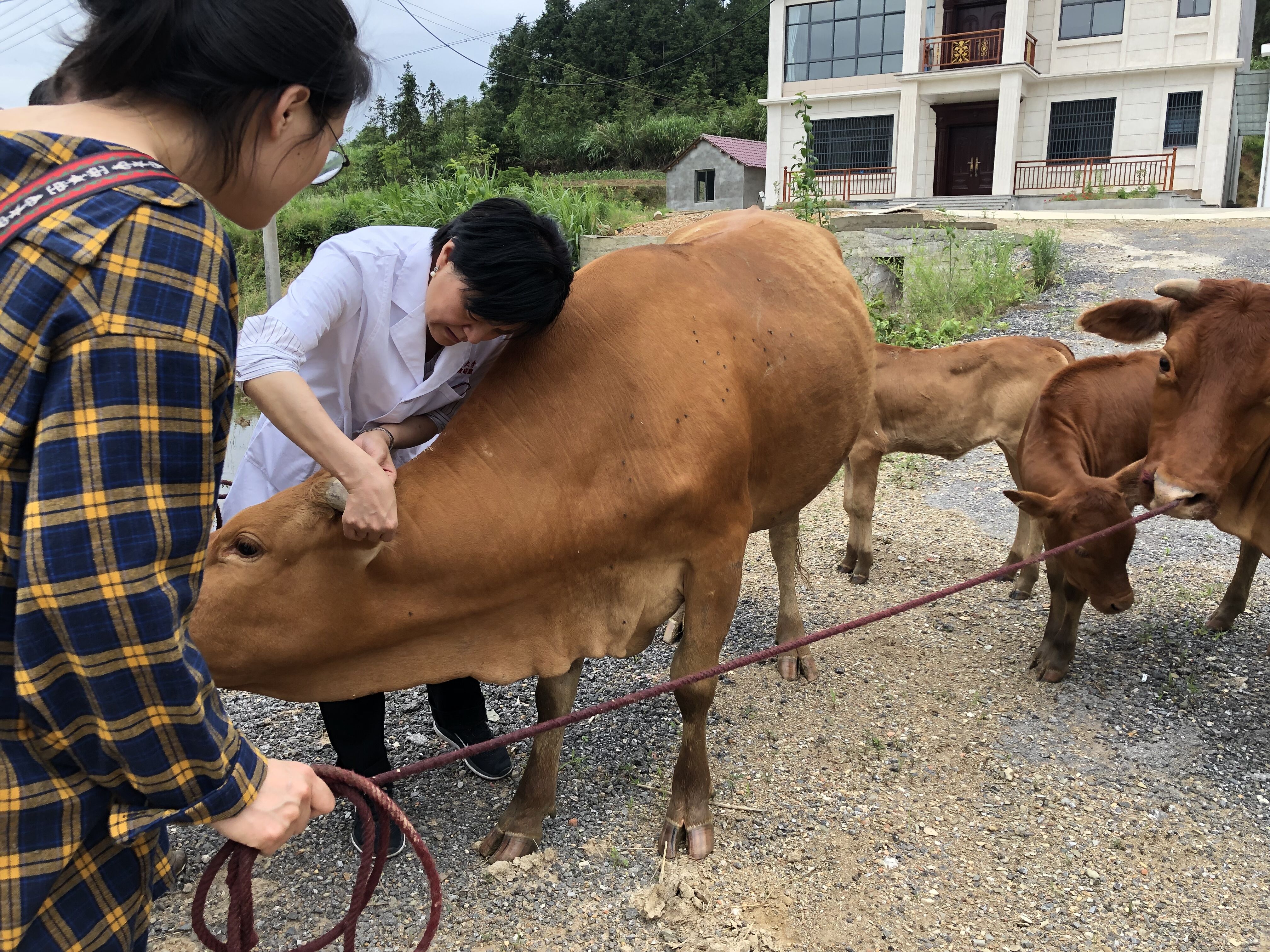 /crm/product/image/20231012/1697096531260088098.jpg /crm/product/image/20231012/1697096531260088098.jpg