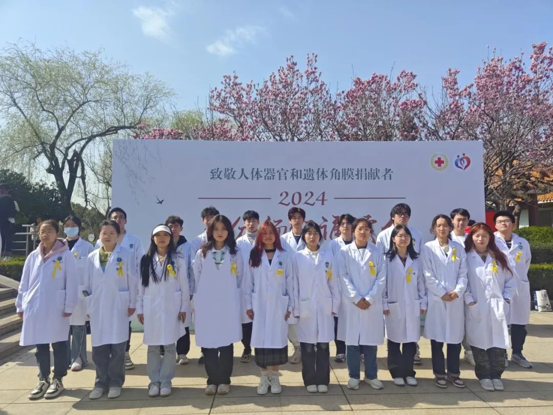 /crm/product/image/20240321/1711074370750080589.jpg /crm/product/image/20240321/1711074370750080589.jpg